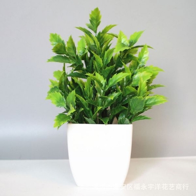 Picture of Artificial Grass - Table Desk Decoration Plants - Plastic Tree and grass - Artificial Green Tree - Jagged leaf pot

- tea leaves - Green