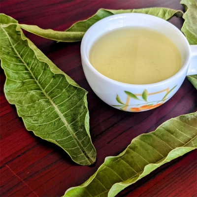 Picture of 0.5 Premium Dried Mango Leaves (Cut) - Natural Herbal Tea 