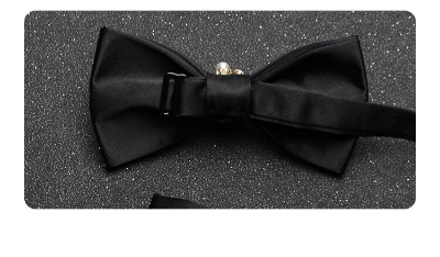Picture of Men's Luxury Embroidery Wedding Groom Bird's Feather Bow Tie (006 (Black),Int: One size)