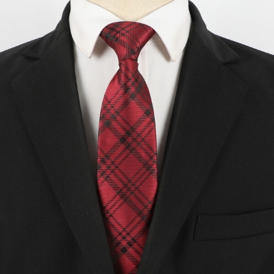 Picture of High Quality Readymade Zipper Multicolor Neck Tie For Men (1p) (YT025,Int: One size)
