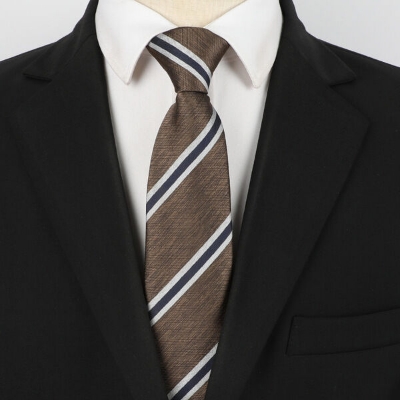 Picture of High Quality Readymade Zipper Multicolor Neck Tie For Men (1p) (YT009,Int: One size)