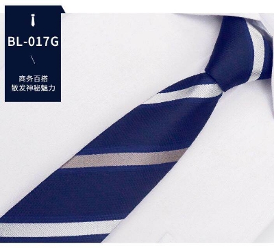 Picture of Readymade Zipper Multicolor Formal Tie for Men – Easy Wear Neck Tie (47 x 7 cm, 1 Pc) (BL-0017G,Int: One size)