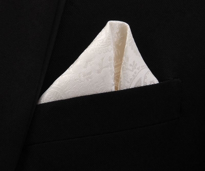 Picture of Men's Luxury Polyester Yarn Handkerchief Paisley Suit Pocket Square 25*25cm (1 PS) (Pesley Pattern-Milk White,Int: One size)