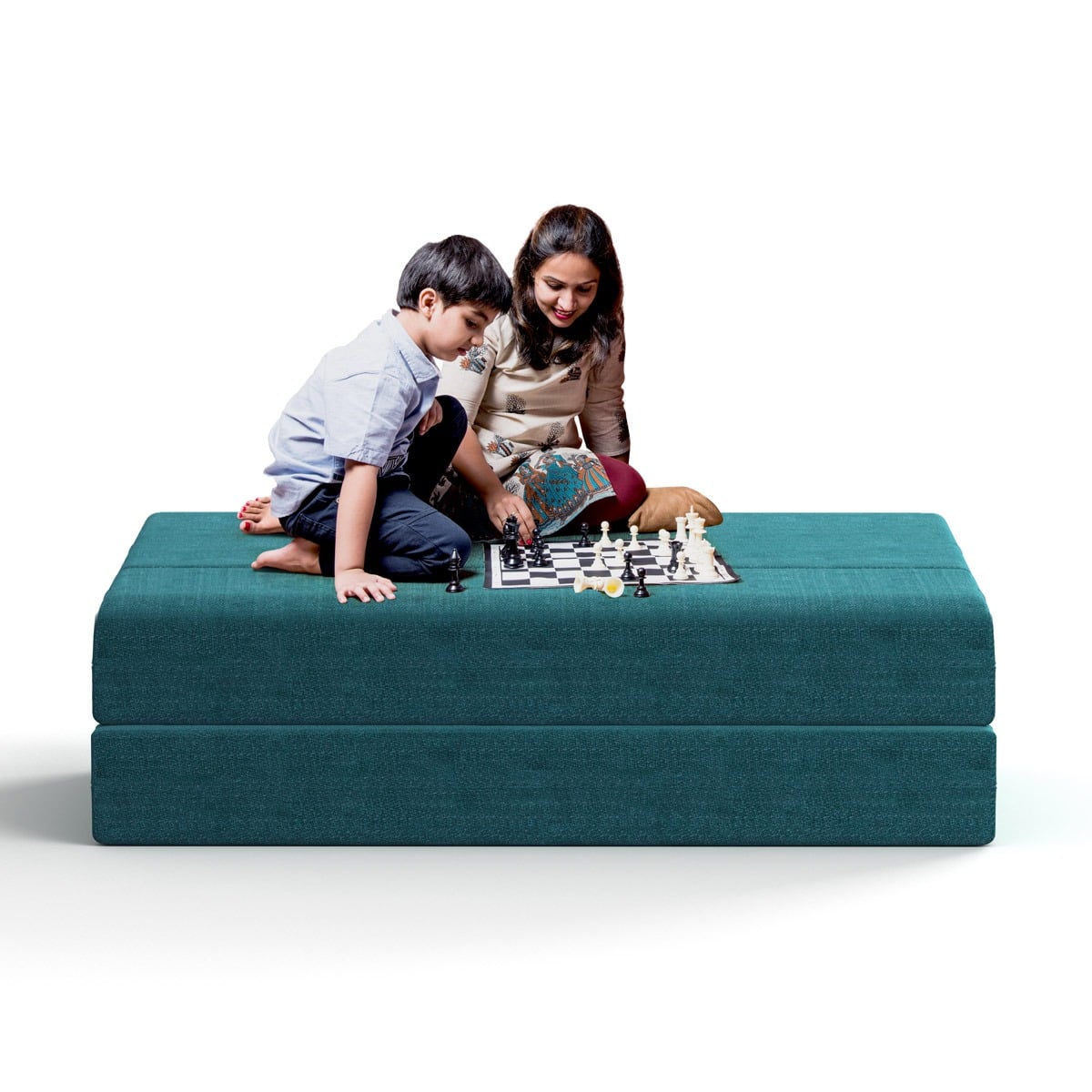 Picture of REGAL Sofa Cum Bed (Double) SCB-205-6-2-07(DOUBLE)(Febric-2135)