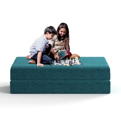 Picture of REGAL Sofa Cum Bed (Double) SCB-205-6-2-07(DOUBLE)(Febric-2135)