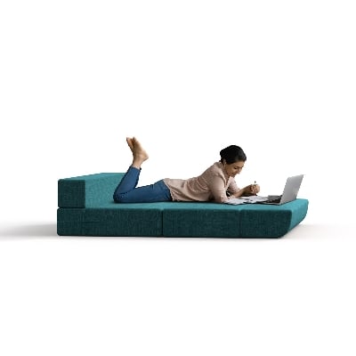 Picture of REGAL Sofa Cum Bed (Double) SCB-205-6-2-07(DOUBLE)(Febric-2135)