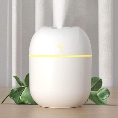 Picture of Air Humidifier with Night Light Cool Mist Cute Diffuser for Bedroom Home Car Plant Purifier Room Freshener