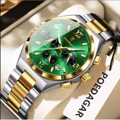 Picture of POEDAGAR 688 Luxury Men’s Chronograph Watch - Multicolor