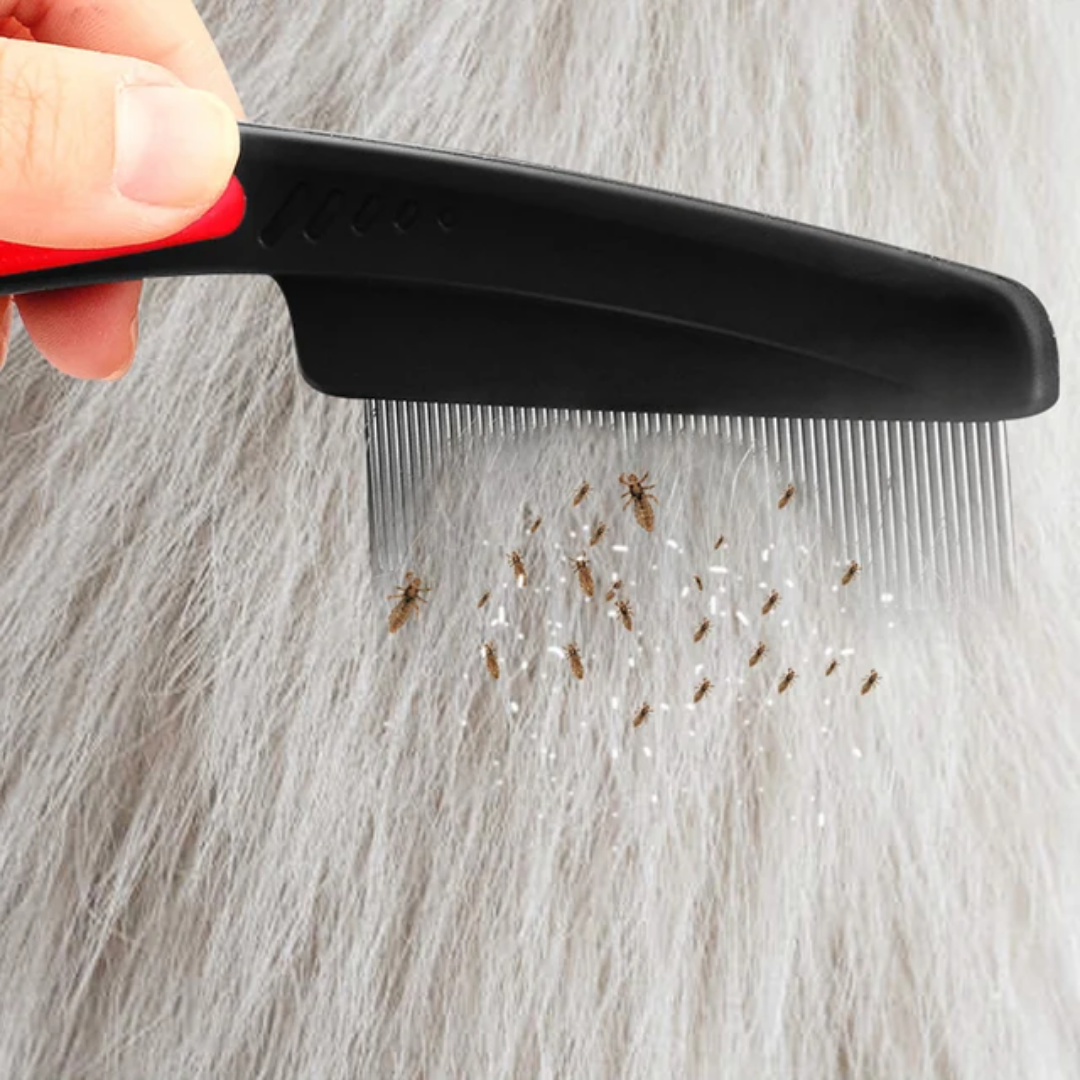 Picture of Cross-border hot selling 5-piece set of anti-dandruff comb stainless steel fine-tooth anti-dandruff comb anti-dandruff comb hollow tooth hairbrush scalp massage - Black