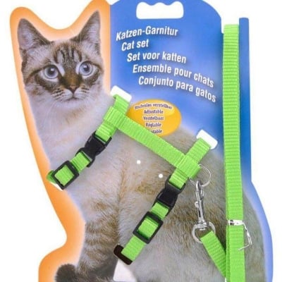 Picture of Adjustable Nylon Pet Cat Harness and Leash ~ Kitten Belt Collar with lead 