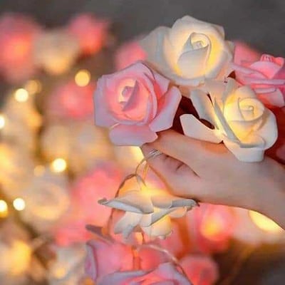 Picture of 80 PCS LED Rose Flash String Fairy Light (25 Feet Length) Multicolor