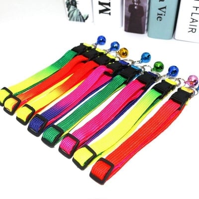 Picture of Rainbow cat/dog collar - multicolour - Multicolor - 