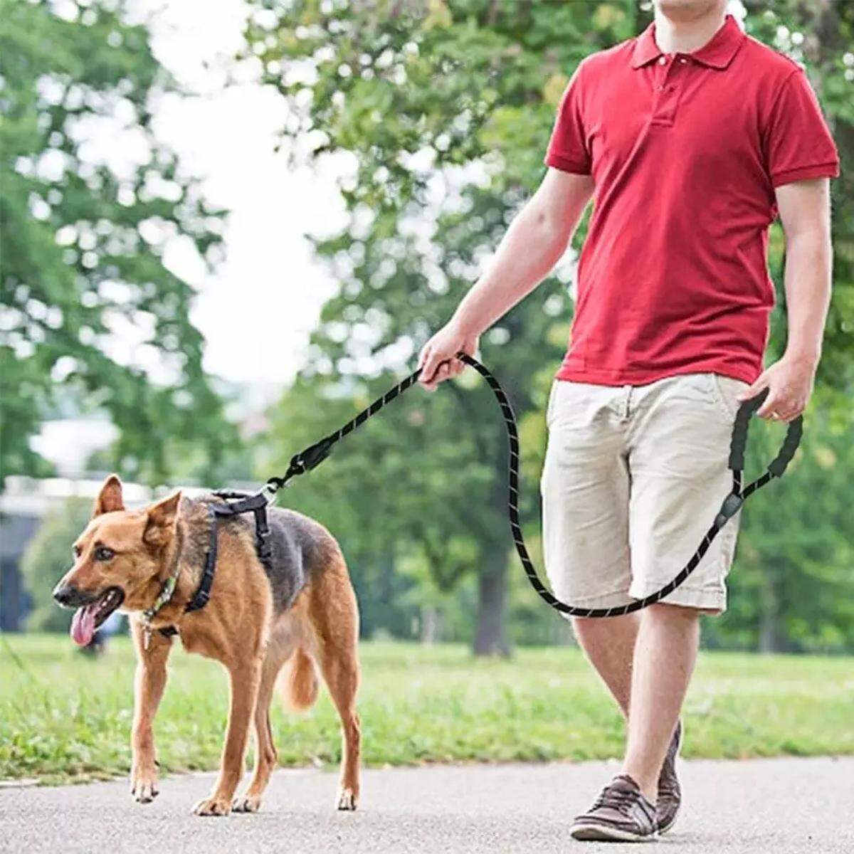 Picture of Strong Dog Leash Handle And Highly Reflective Threads For Small Medium And Large Dogs Nylon Leash Pet Safety Belt - Black - 