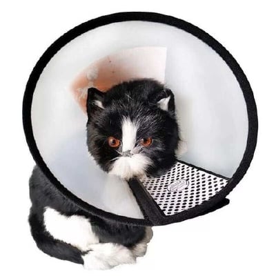 Picture of Cat & Dog E-Collar Or Operation Collar