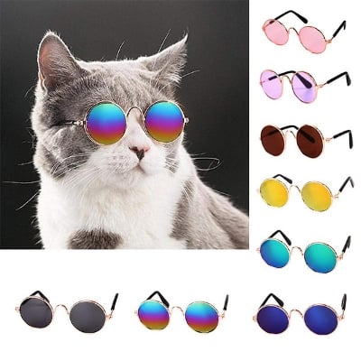 Picture of Cat Sunglass Toy - Multicolour - Multicolor - 