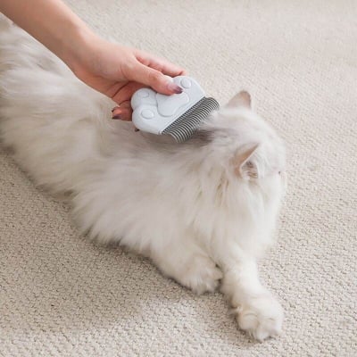 Picture of High Quality Cat and Dog Anti Lice Paw Comb remove flea and tick - Multicolor - 