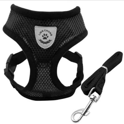 Picture of (S Size Black colour) Pet Cat/ Dog Harness Adjustable Design Nylon Strap Collar with Leash, Breakaway Cat Safety jacket Harness - Black - 