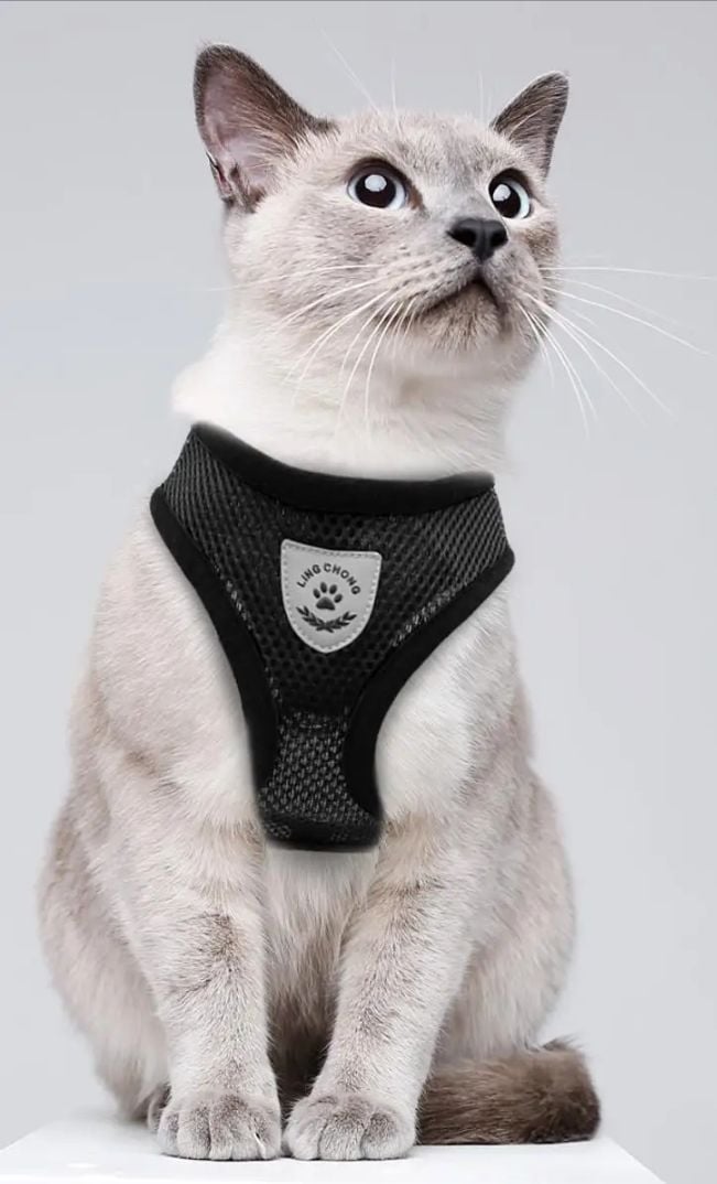 Picture of (S Size Black colour) Pet Cat/ Dog Harness Adjustable Design Nylon Strap Collar with Leash, Breakaway Cat Safety jacket Harness - Black - 