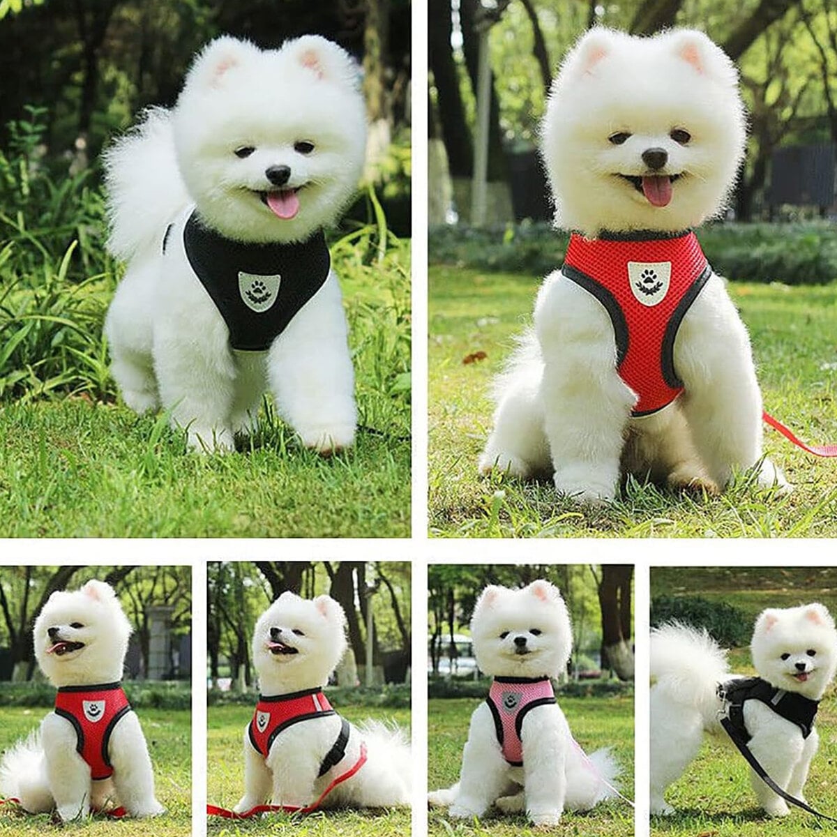 Picture of (S Size) Cat Pet Kitten Cats/Small Dog Puppy Jacket Harness & Leash Breathable Reflective