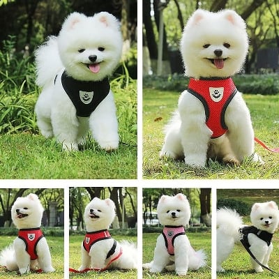 Picture of (S Size) Cat Pet Kitten Cats/Small Dog Puppy Jacket Harness & Leash Breathable Reflective