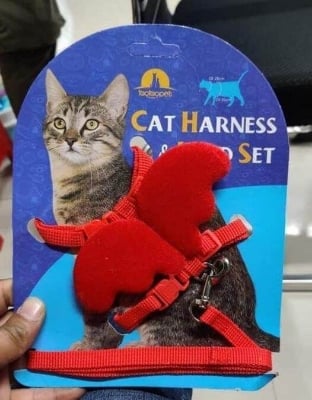 Picture of Pet Small Cat Belt Harness Nylon Leash Beautiful Angel Wing Dog-Harness-Leash-Belt-Pet - Red - 