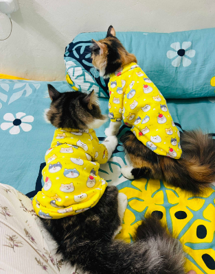 Picture of Pet Winter clothe for cat/dog casual size - colour same as picture - 20 gm