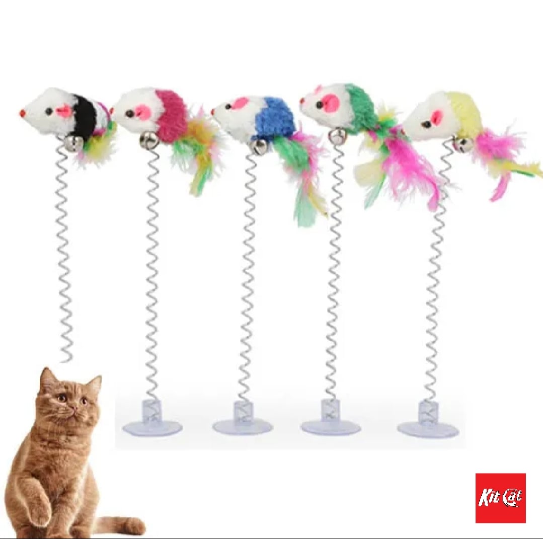 Picture of Funny Cat Toys for Cat Kitten Playing Pet Toys (suction cup) - Multicolor - 10 gm