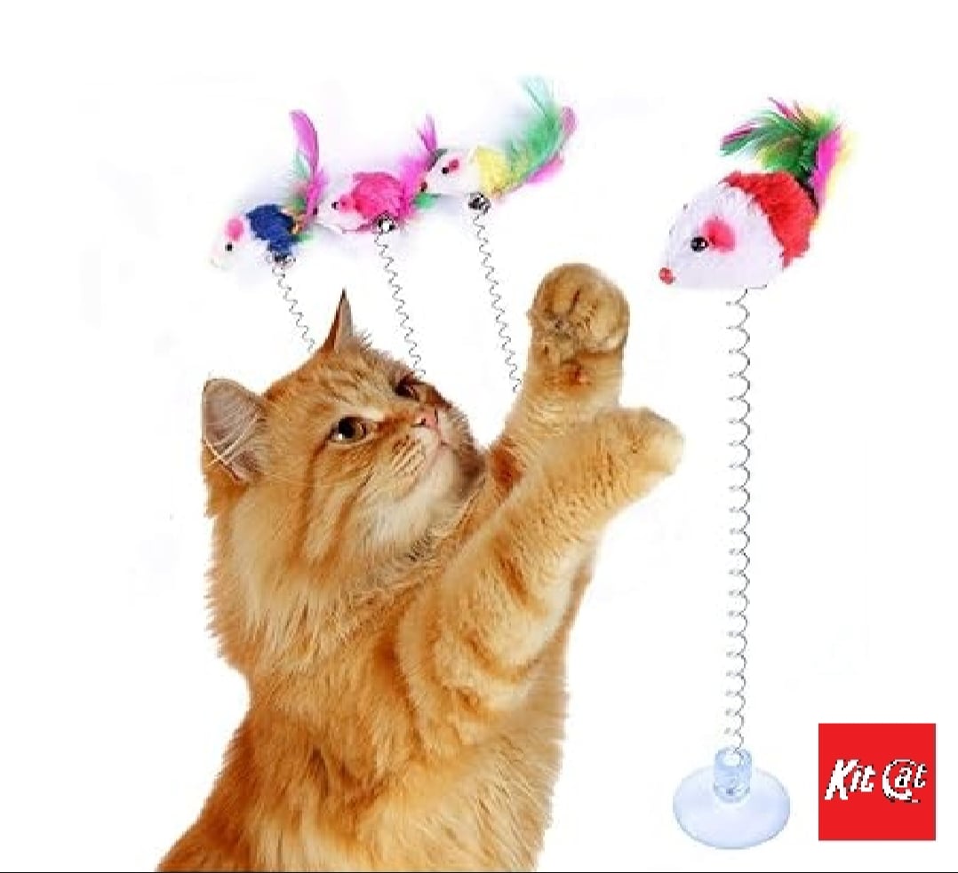 Picture of Funny Cat Toys for Cat Kitten Playing Pet Toys (suction cup) - Multicolor - 10 gm