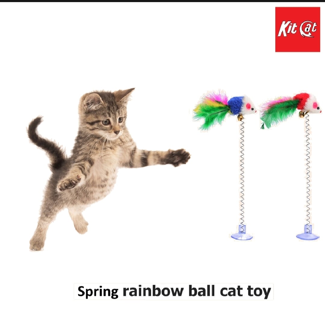 Picture of Funny Cat Toys for Cat Kitten Playing Pet Toys (suction cup) - Multicolor - 10 gm