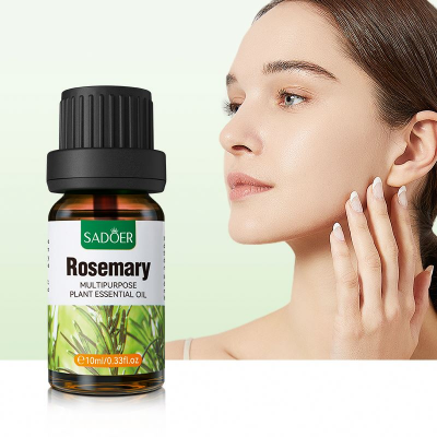 Picture of Sadoer Rosemary Multipurpose Plant Essential Oil Moisturizing Skin Rejuvenation Lock Water-10ml-(R0010)