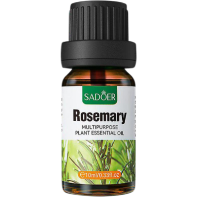 Picture of Sadoer Rosemary Multipurpose Plant Essential Oil Moisturizing Skin Rejuvenation Lock Water-10ml-(R0010)