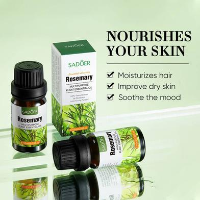 Picture of Sadoer Rosemary Multipurpose Plant Essential Oil Moisturizing Skin Rejuvenation Lock Water-10ml-(R0010)