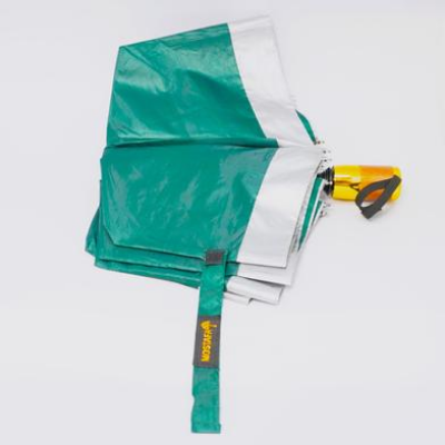 Picture of Mostofa Auto Open Umbrella Green Colour 8 Ribs-(C-AP)-Full Look: 42