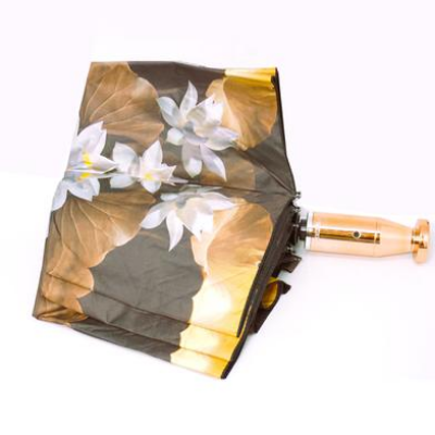 Picture of Mostofa Auto Open Umbrella Green Colour 8 Ribs-(C-AP)-Full Look: 40