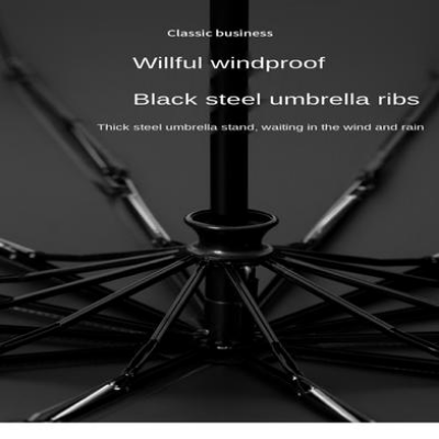 Picture of BMW 12 Sticks Auto Open and Auto Close Super Strong Umbrella-(C-AP)-Full Look: 40