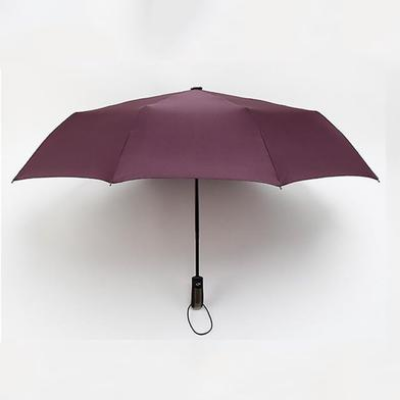 Picture of BMW Auto Open And Auto Close Umbrella 12 Ribs UV-(C-AP)-Full Look: 38