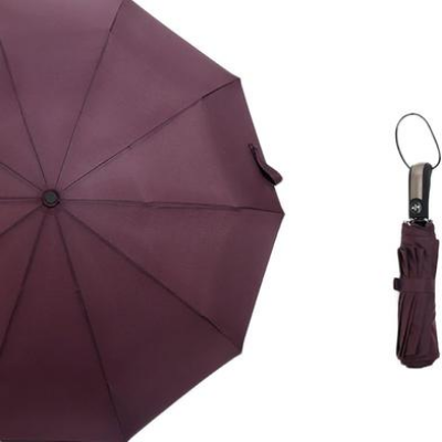 Picture of BMW Auto Open And Auto Close Umbrella 12 Ribs UV-(C-AP)-Full Look: 40