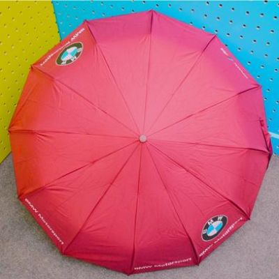 Picture of BMW Auto Open And Auto Close Umbrella 12 Ribs UV-(C-AP)-Full Look: 40