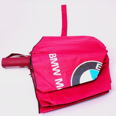 Picture of BMW Auto Open And Auto Close Umbrella 12 Ribs UV-(C-AP)-Full Look: 40