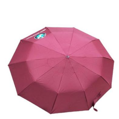 Picture of Umbrella Bmw Motorsport Chata 10 Sikh Auto On And Auto Close-(C-AP)-Full Look: 40
