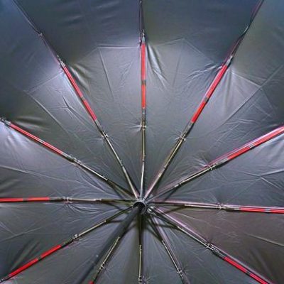 Picture of Sankar Auto Open Umbrella -12 Ribs-(C-AP)-Full Look: 40