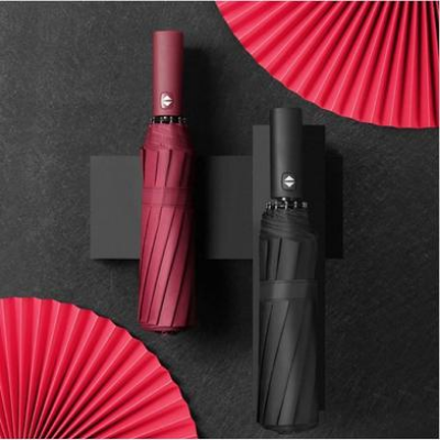 Picture of BMW Auto Open And Auto Close Umbrella 12 Ribs (China)-(C-AP)-Full Look: 40