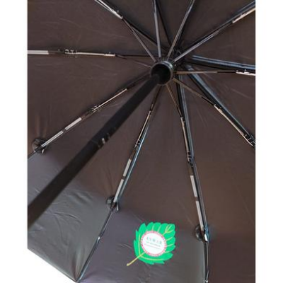 Picture of Anwar Automatic on/off Windproof Fashionable Polyester Umbrella-(C-AP)-Full Look: 40
