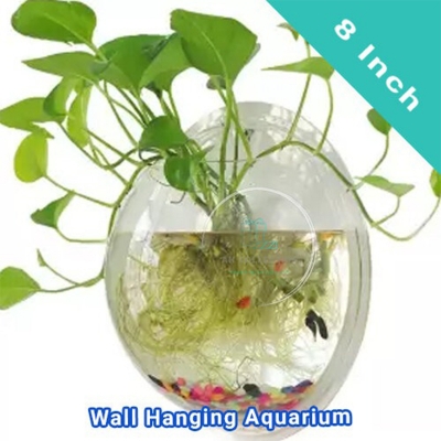 Picture of Plastic Wall Hanging Aquarium (8 Inch) | Aquarium Fish Tank | Wall Aquarium Bowl | Wall Hanging Fish Tank - Aquarium - white (400gm)