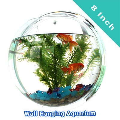 Picture of Plastic Wall Hanging Aquarium (8 Inch) | Aquarium Fish Tank | Wall Aquarium Bowl | Wall Hanging Fish Tank - Aquarium - white (400gm)