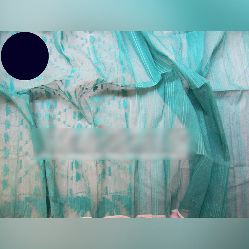 Picture of Paste Color Handloom Dhakai Jamdani Saree 
