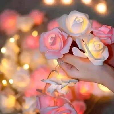 Picture of 80 LED Rose Flower Fairy String Lights 25 Feet – Romantic Decorative Rose Lights for Bedroom, Wall, Wedding, Party, Festival & Home Decoration Multicolor