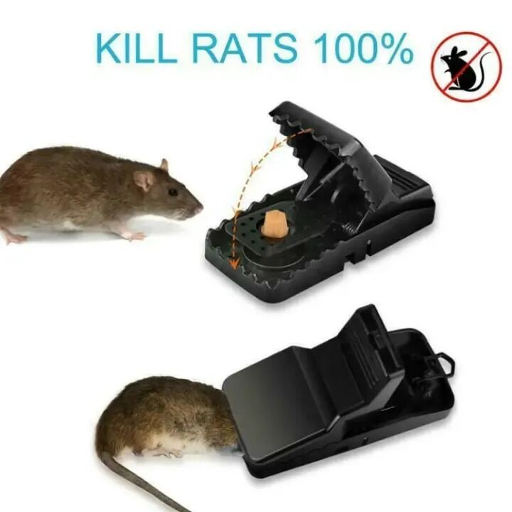 Picture of Mouse Killer Trap Cage 5×3×3 Inches – Reusable Rat Trap Safe Rodent Catcher for Home Kitchen Warehouse Indoor Outdoor Pest Control Use Black