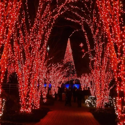 Picture of Red Fairy Lights Waterproof Connectable Timer 8 Modes Plug In LED String Lights for Bedroom Outdoor Tree Indoor House Party Festival Decoration Red