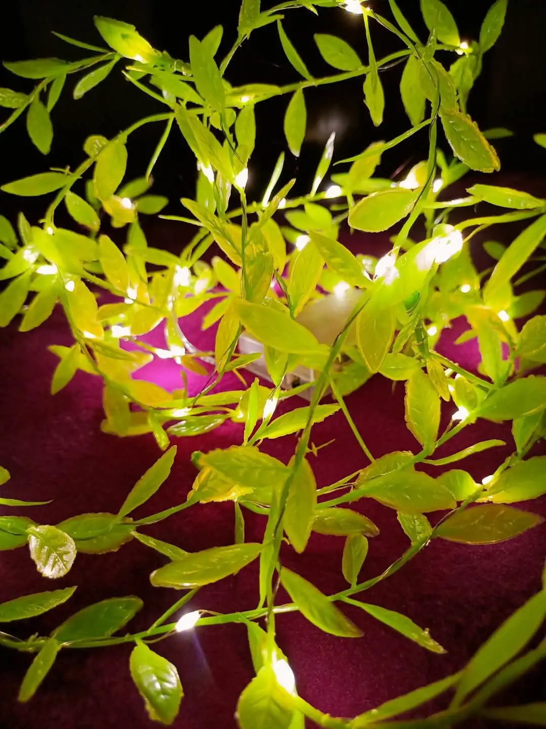 Picture of Artificial Chirol Leaf LED String Light 16 Feet – Battery Operated Decorative Fairy Light with 3 Lighting Modes for Bedroom, Wall, Balcony, Party & Home Decoration Gold